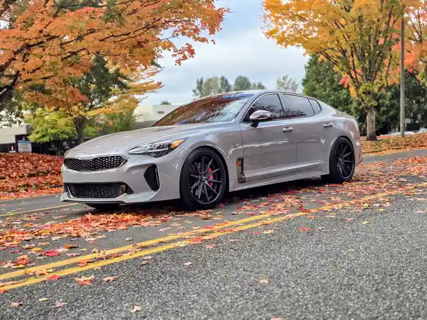 A silver Kia Stinger sports sedan is parked on a street covered in fallen autumn leaves, with trees displaying vibrant…