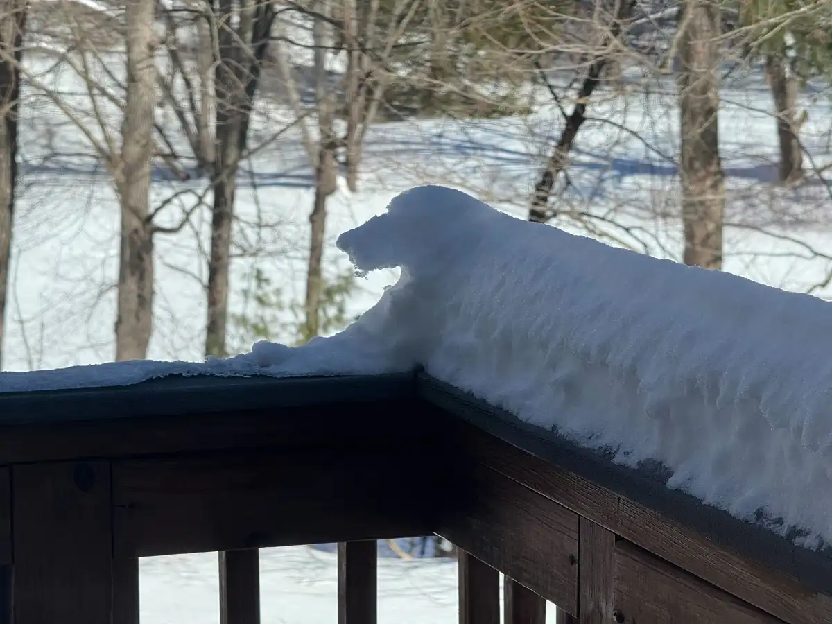 A close-up photo shows a pile of snow on a dark wooden deck railing, shaped remarkably like the head and upper body of a…