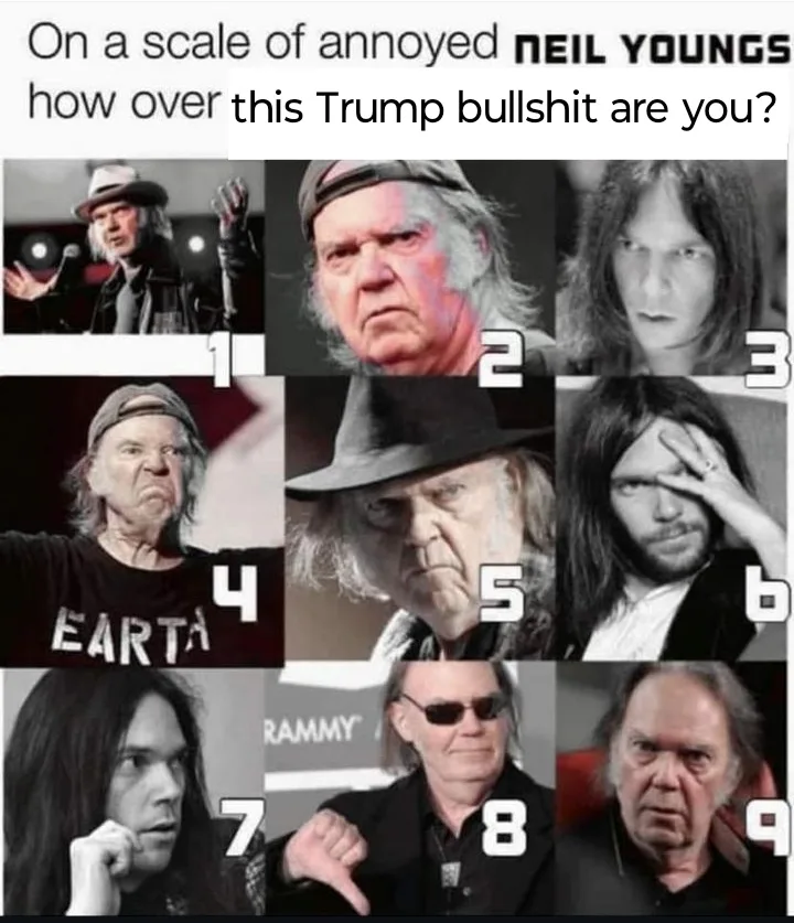 A nine-panel meme grid features different expressions of Canadian musician Neil Young, labeled 1 through 9, visually…