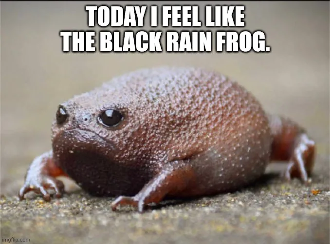 A close-up photo of a small, round, brown frog with large, glossy eyes and a slightly downturned mouth, sitting on a…