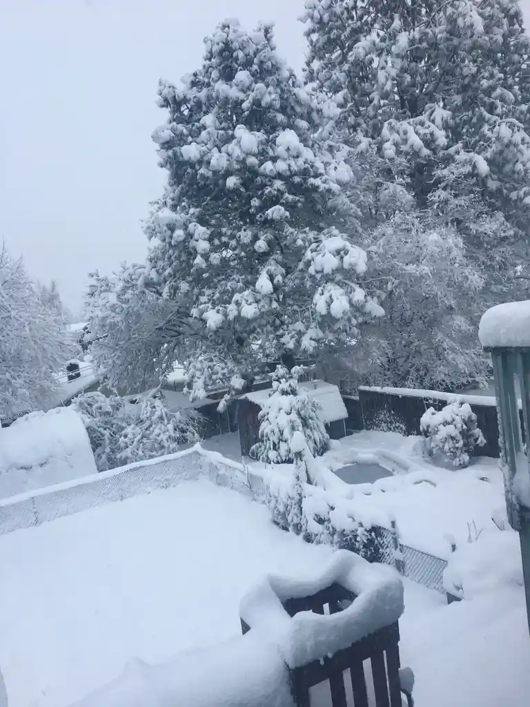 A snowy backyard scene with trees, fences, and a hot tub completely buried under heavy snowfall, with overlaid text reading…
