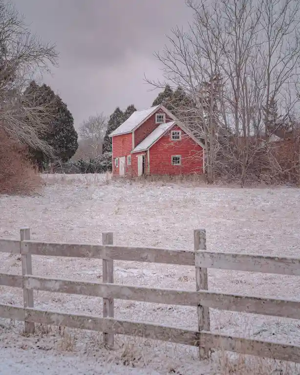 A red barn stands in a snowy field behind a weathered wooden fence, surrounded by bare trees under an overcast sky. The…