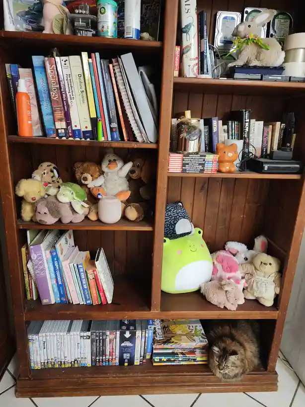 A wooden bookshelf is filled with books, stuffed animals, and various household items, including hard drives and a speaker…