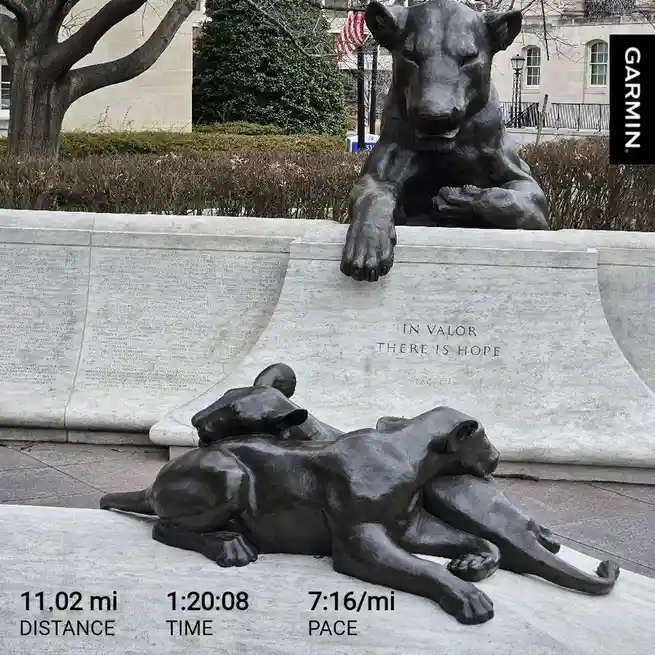 A photo of the National Mall's 'In Valor There Is Hope' statue of a mother panther and cubs, overlaid with Garmin running…