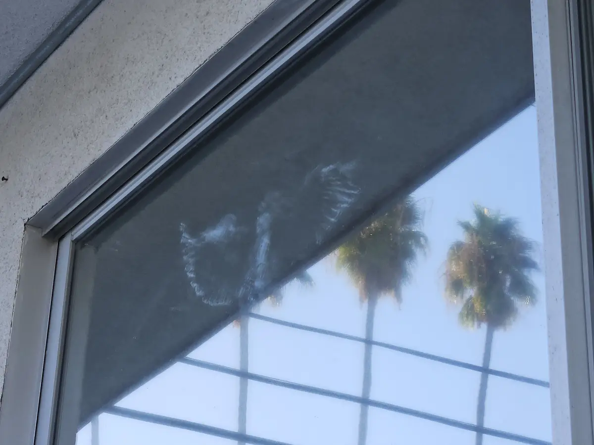 A close-up of a dirty window with smudges and streaks obscuring the view of palm trees outside. The window has a dark tinted…