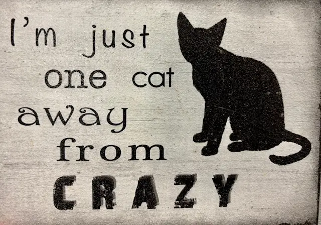 A black silhouette of a sitting cat is on the right side of a weathered wooden sign. The text on the left reads 'I'm just…