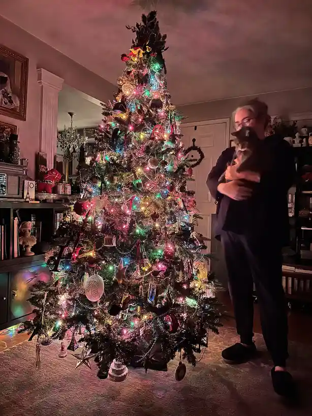 A person in dark clothing stands beside a very densely decorated Christmas tree, holding a cat. The tree is covered in…