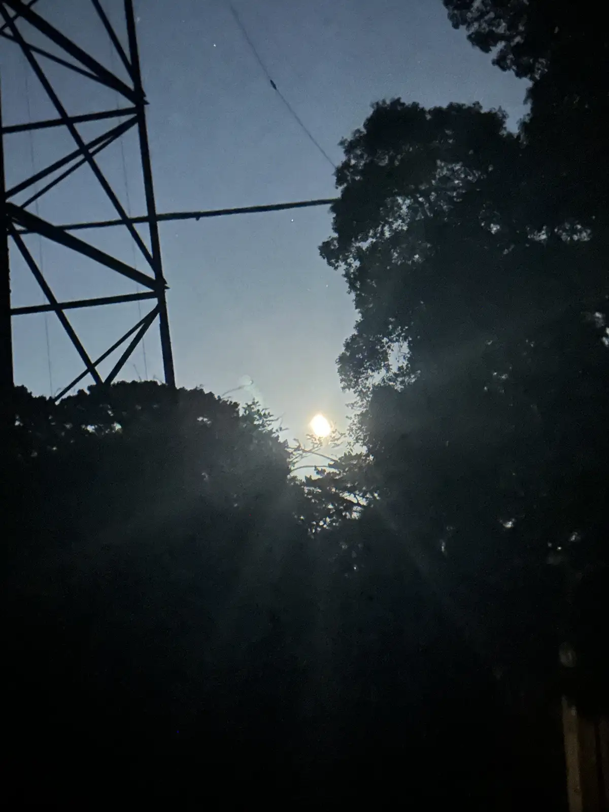 A low-angle shot shows the sun peeking through silhouetted trees and a power line tower against a twilight sky, with the…