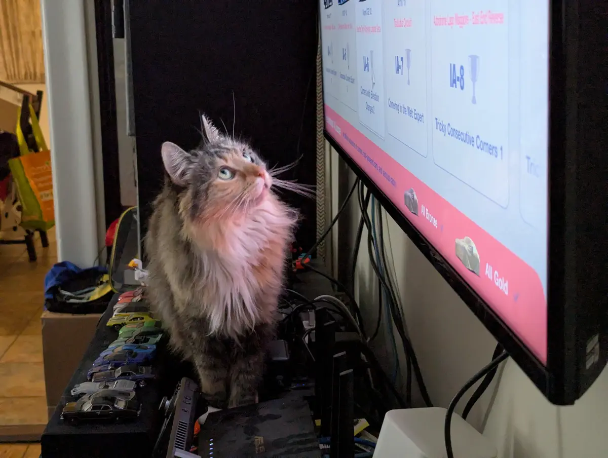 A fluffy, long-haired cat with green eyes sits upright on a cluttered desk, gazing intently upward at a large monitor…