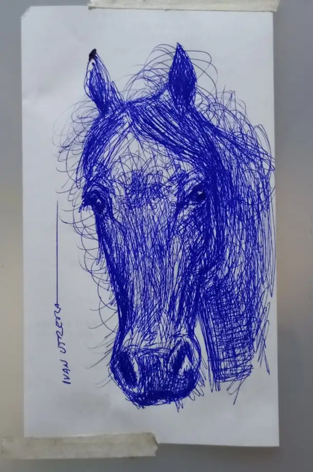 A hand-drawn sketch of a horse's head on white paper, rendered entirely in chaotic blue scribbles that form the outline and…