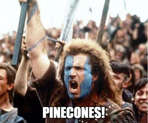 A man with blue face paint and long hair, holding a sword aloft in a battle scene, has the word 'PINECONES!' overlaid in…