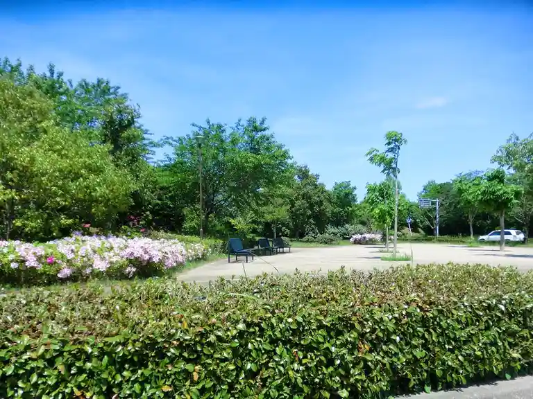 a bright, sunny photo of a park-like area with green bushes in the foreground, pink flowering bushes, trees, benches, and a…