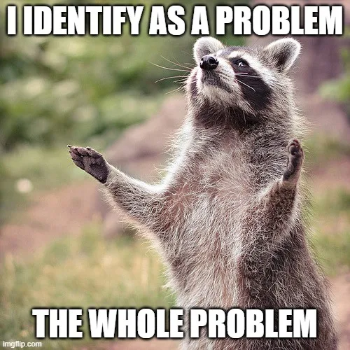 A raccoon stands on its hind legs with both front paws raised in a pleading or dramatic gesture, looking upward. The image…