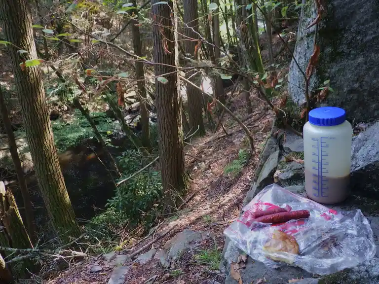 A plastic bag with sausages and a donut sits on a rock beside a measuring jug filled with murky liquid, all placed in a…