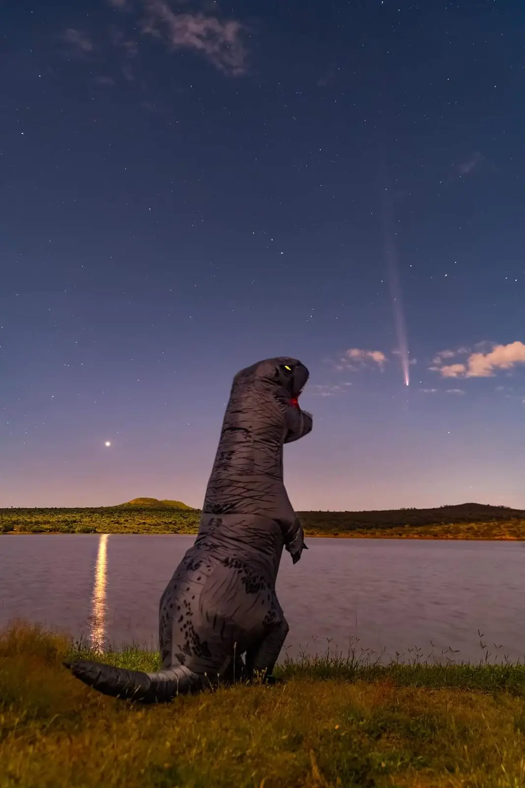 A person in a large, grey inflatable T-Rex costume stands on a grassy bank beside a calm lake under a starry night sky. A…