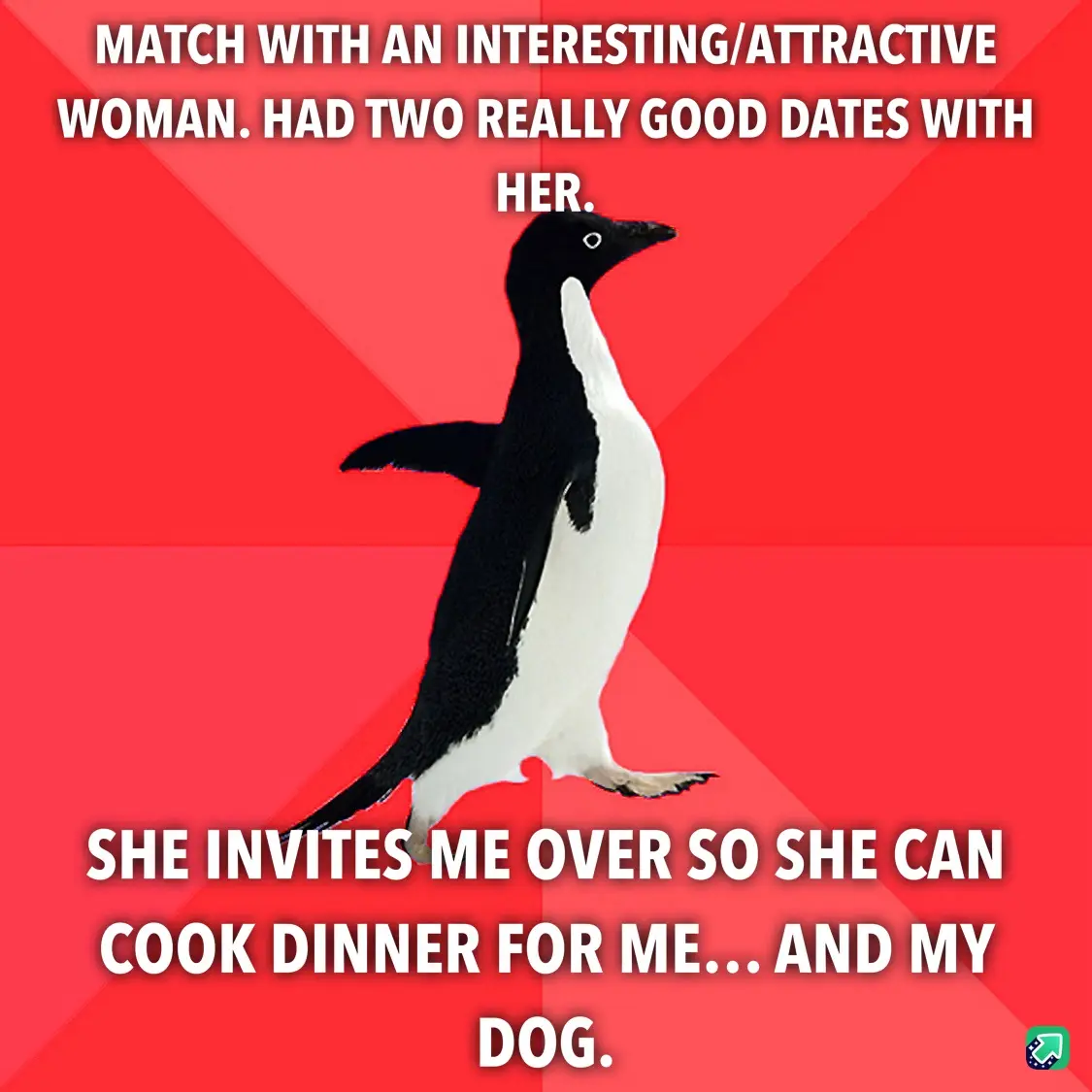 A black-and-white penguin stands against a red background with white text describing a dating scenario where a woman invites…