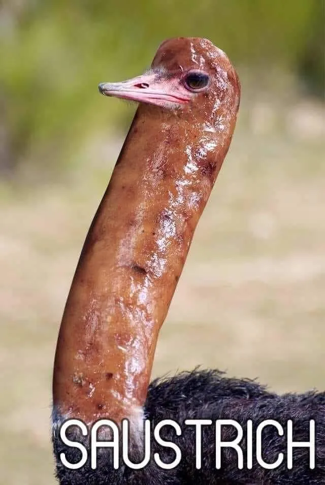 A close-up photo of an ostrich's long neck, which appears wet and shiny with a brownish hue, set against a blurred natural…