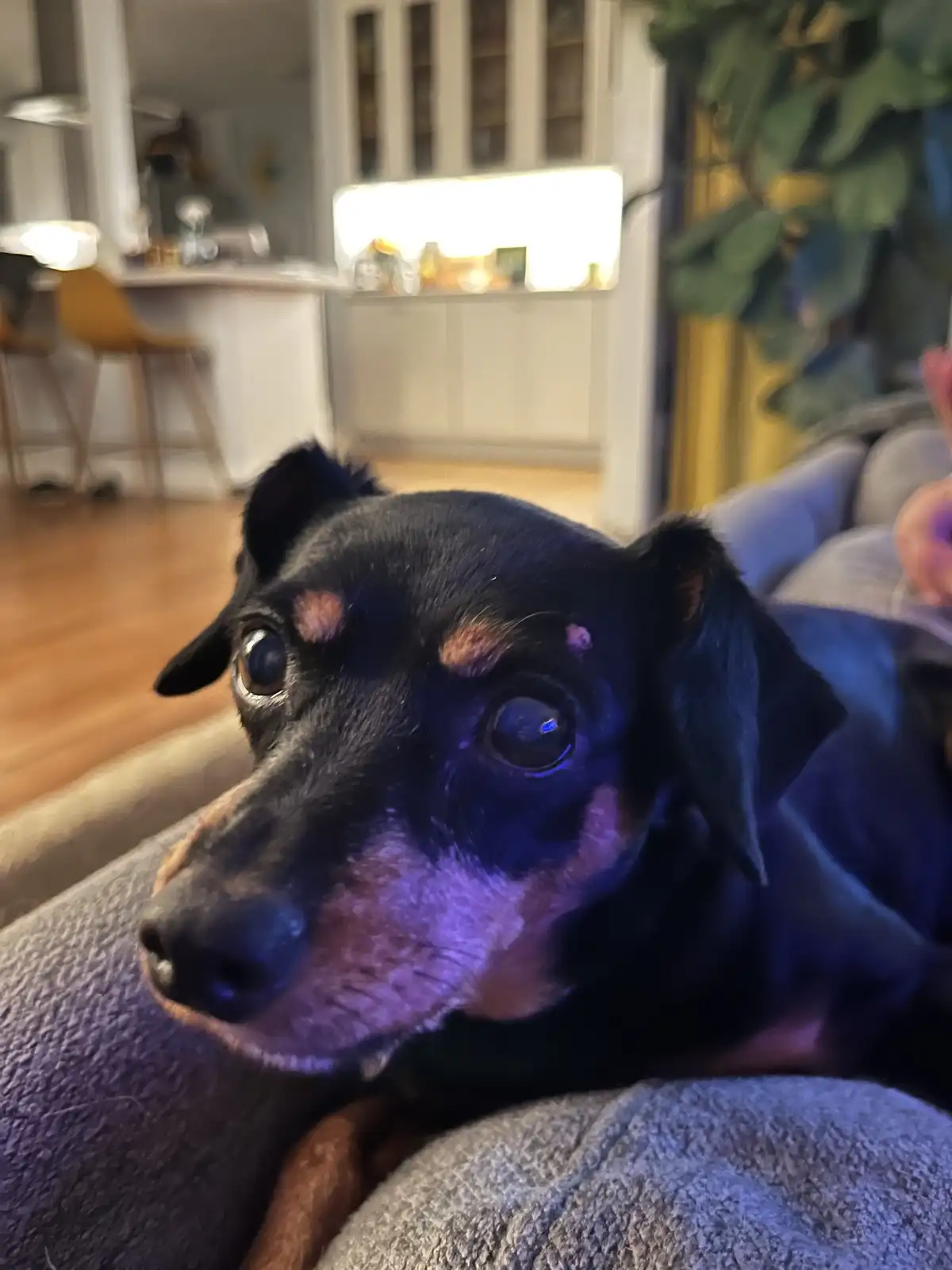 Dori's Bump: A Quirky Little Surprise