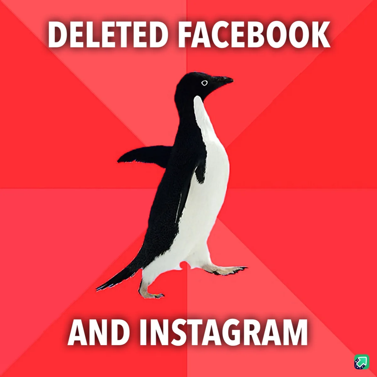 A black-and-white penguin walks against a red background with diagonal stripes. White bold text at the top reads 'DELETED…
