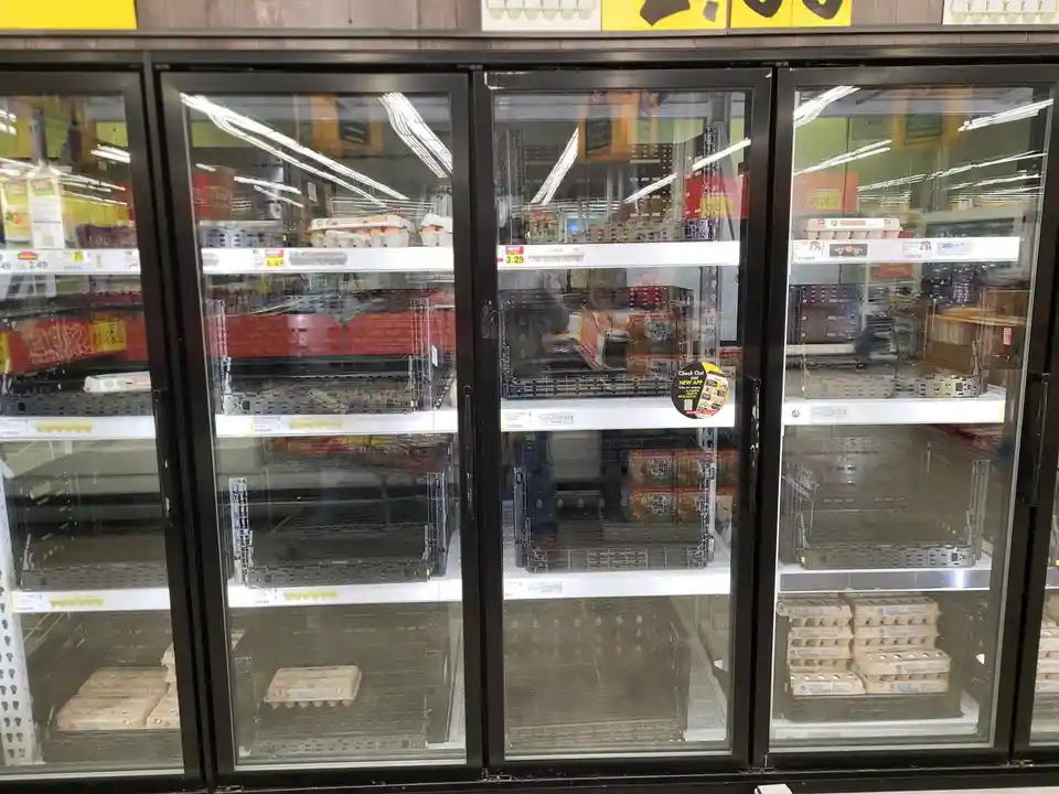 A photo of nearly empty supermarket egg refrigerators with only a few cartons remaining on the bottom shelves, while price…