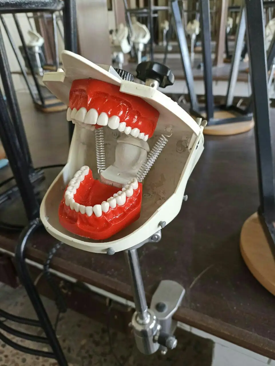 A dental model with red gums and white teeth is shown wide open in a mechanical holder, revealing springs inside. The…