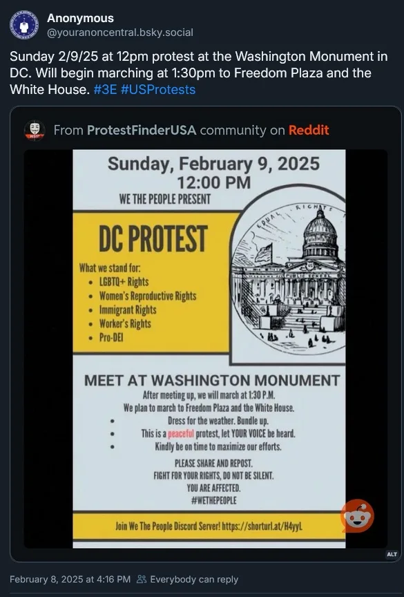 A protest flyer for a 'DC PROTEST' scheduled for Sunday, February 9, 2025, at the Washington Monument, listing causes like…