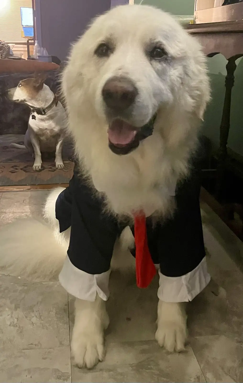 He's Proudly Representing the Democratic Party!