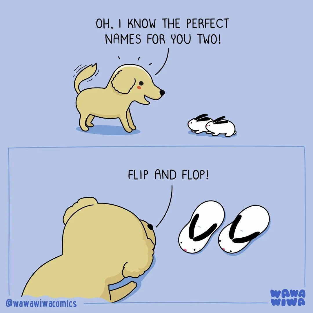 A cartoon yellow dog excitedly suggests names for two small white rabbits, then reveals the names are 'Flip and Flop' by…