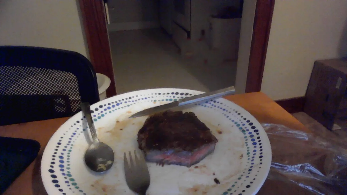 A close-up photo shows a partially eaten, charred steak on a white plate with a blue dotted rim, accompanied by a fork…