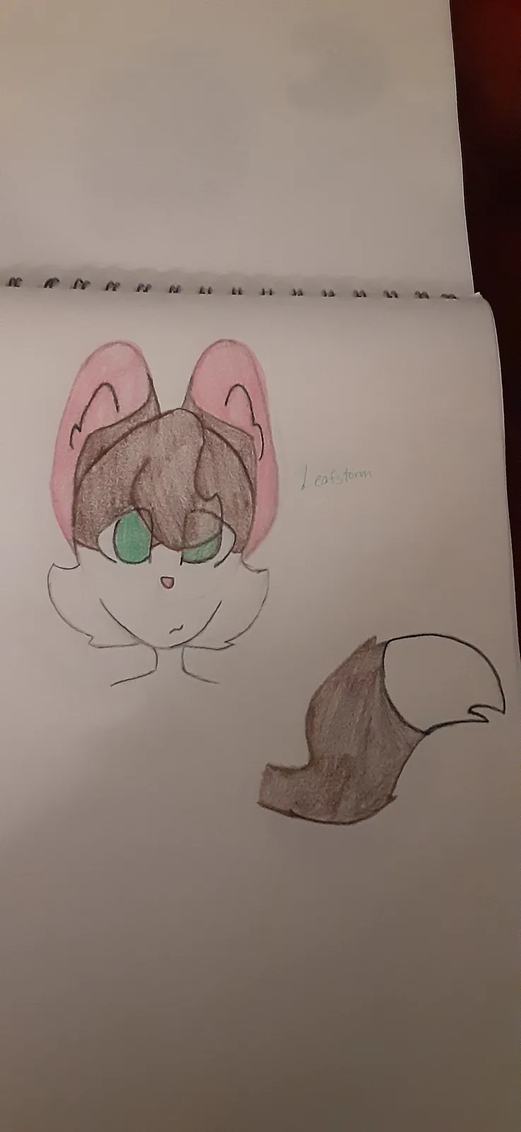 A hand-drawn sketch in a spiral-bound notebook shows a cartoon cat-like character with brown fur, pink inner ears, and green…