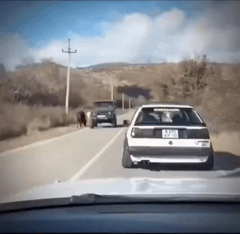 A six-panel sequence from a dashcam view shows a white car driving on a rural road, approaching a cow standing in the middle…