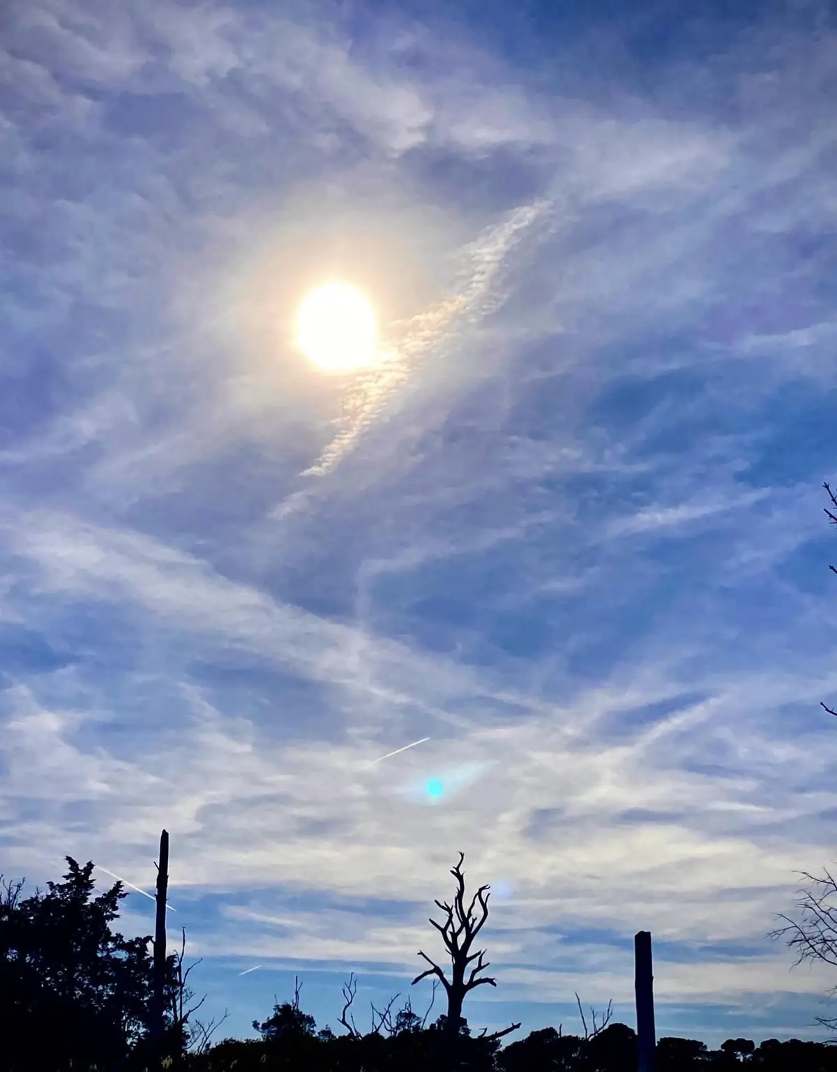 A bright sun shines through wispy clouds in a blue sky, with silhouettes of bare trees and poles at the bottom. The overlaid…