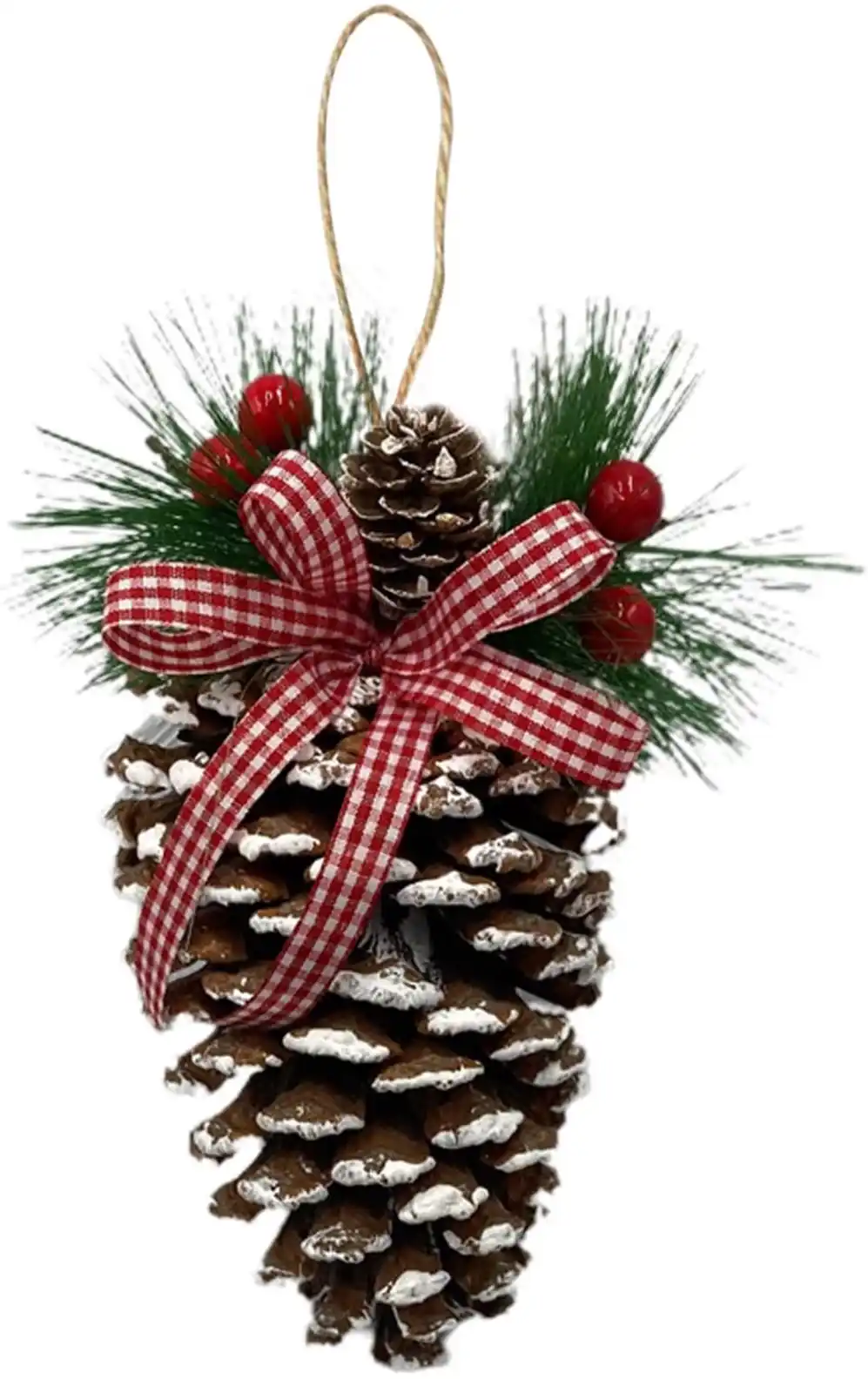 Just One Pinecone Hanging Proudly on the Tree