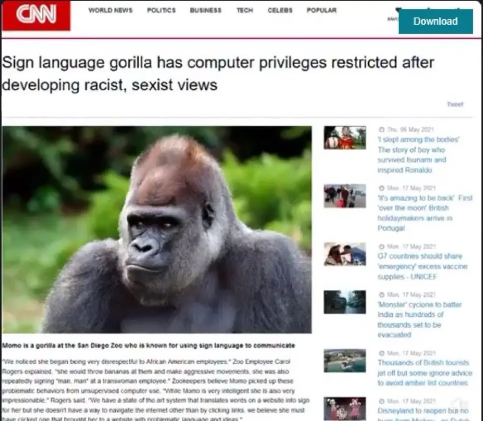 A screenshot of a CNN news article featuring a photo of a gorilla named Momo. The headline reads 'Sign language gorilla has…