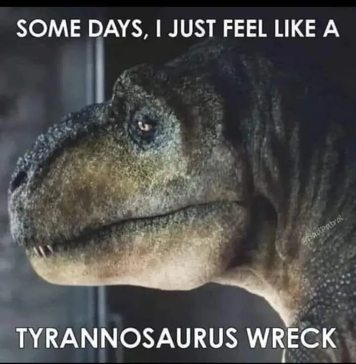 I'm basically a dilapidatedasaurus at this point