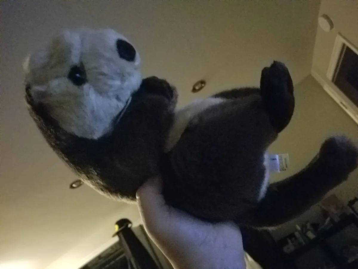 A person holds a plush otter toy upside down, with its paws and tail pointing toward the ceiling. The toy has a dark brown…