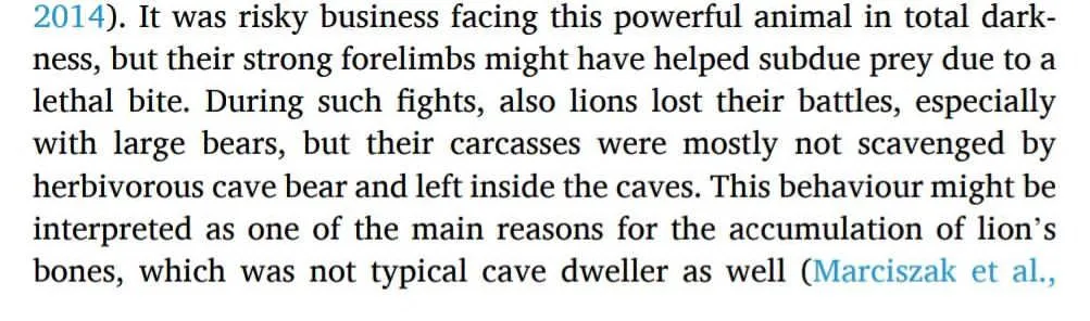 The image displays a block of dense, academic text describing prehistoric lion-bear conflicts and bone accumulation in…
