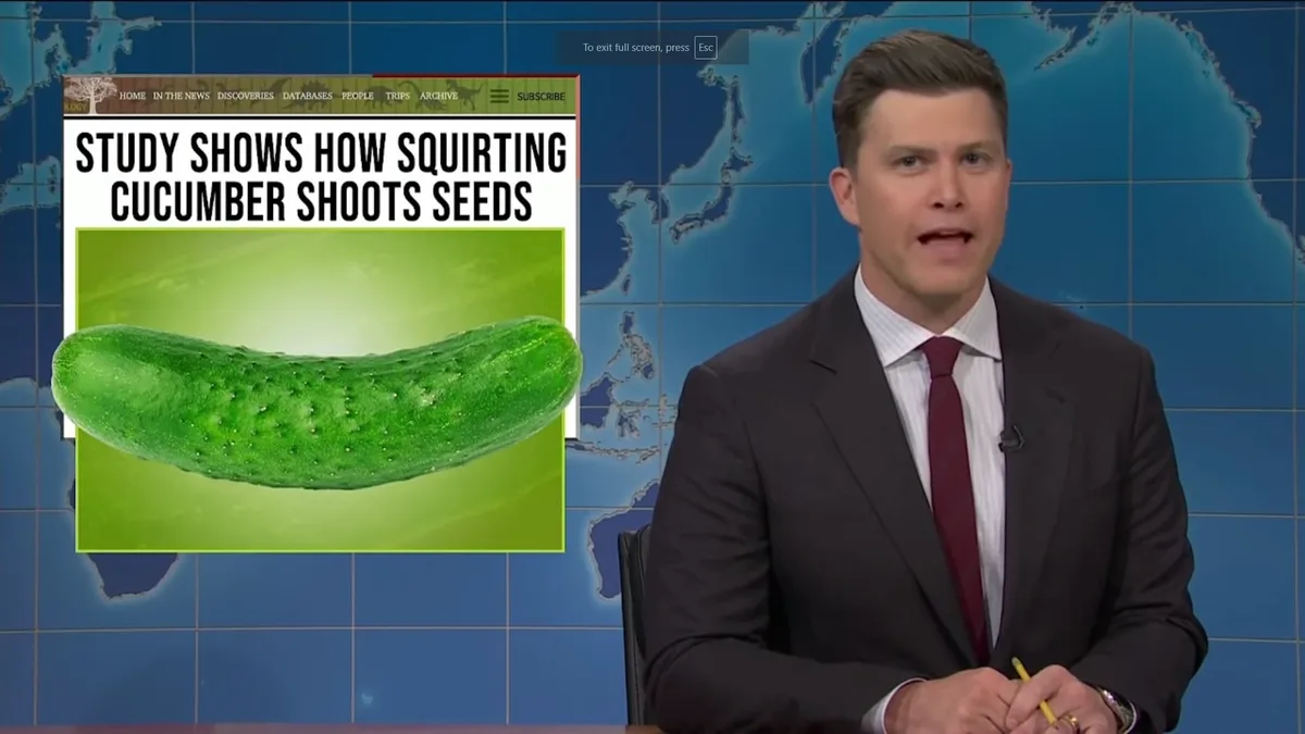 SNL for the Win!