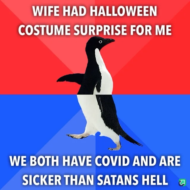 A penguin stands centered against a red and blue background, with white text at the top reading 'WIFE HAD HALLOWEEN COSTUME…