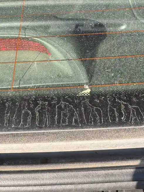 A close-up of a dirty car window shows faint, scratched-out lettering that appears to spell 'no it can't', with a small…