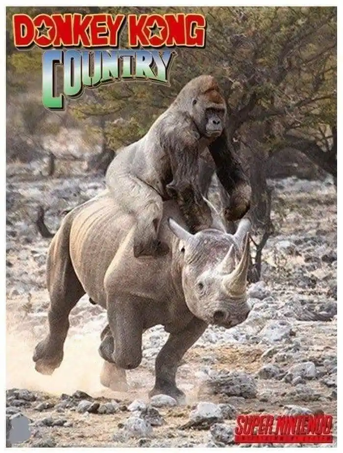 The image shows a gorilla riding a rhinoceros in a rocky, dusty outdoor setting. The text 'DONKEY KONG COUNTRY' is overlaid…