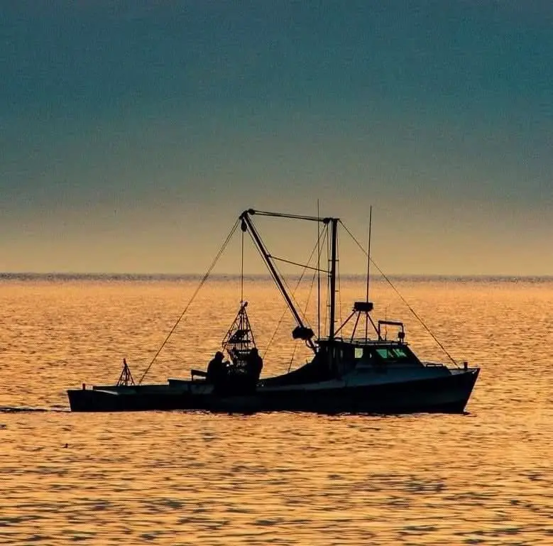 A silhouette of a fishing boat with a crane and nets on calm water during sunset or sunrise, with the overlaid text 'i'm not…