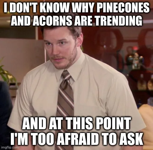 They are absolutely everywhere!