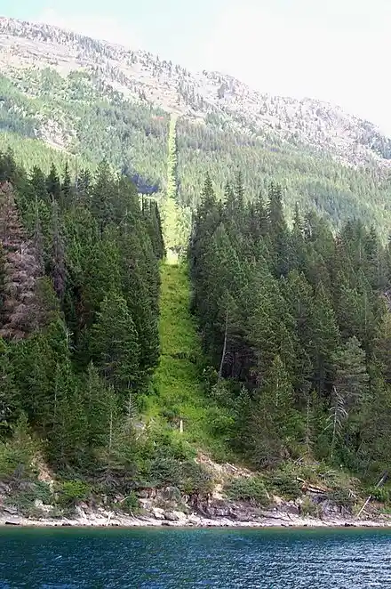 a steep, grassy mountain slope flanked by dense evergreen trees, descending from a rocky ridge toward a body of water in the…