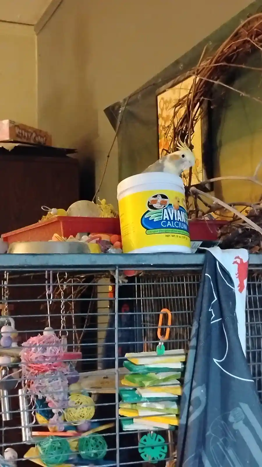 Hey Stepmother, Will You Share Your Pasta Today?