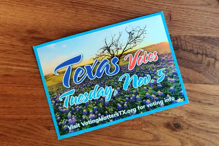 A political flyer for Texas voting on Tuesday, November 5, featuring a scenic image of bluebonnets and a bare tree against a…