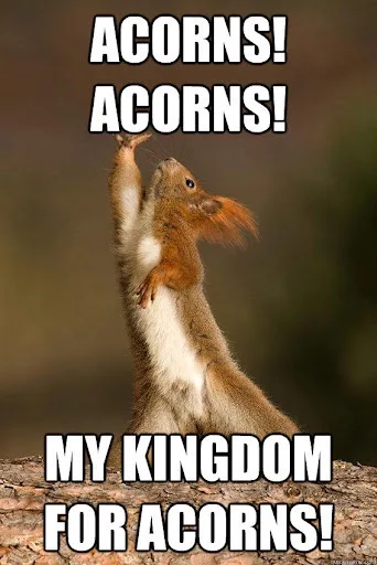 A red squirrel stands upright on a tree stump, one paw raised as if in prayer or desperation, with a blurred natural…