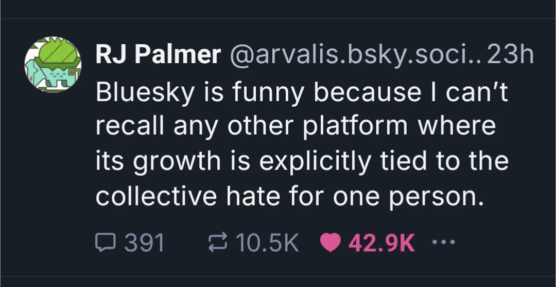 A screenshot of a Bluesky social media post by user RJ Palmer, whose profile picture is a green cartoon character. The post…