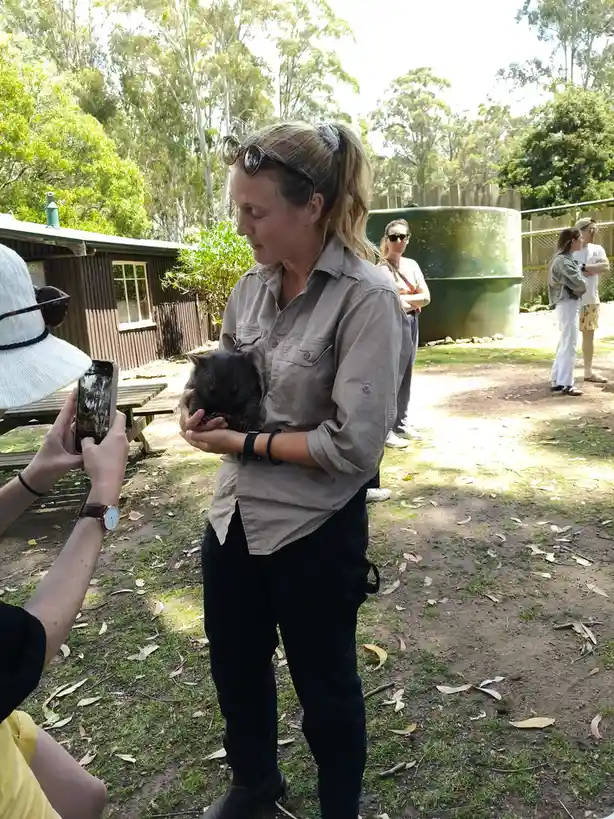 Adorable Baby Wombat alert!