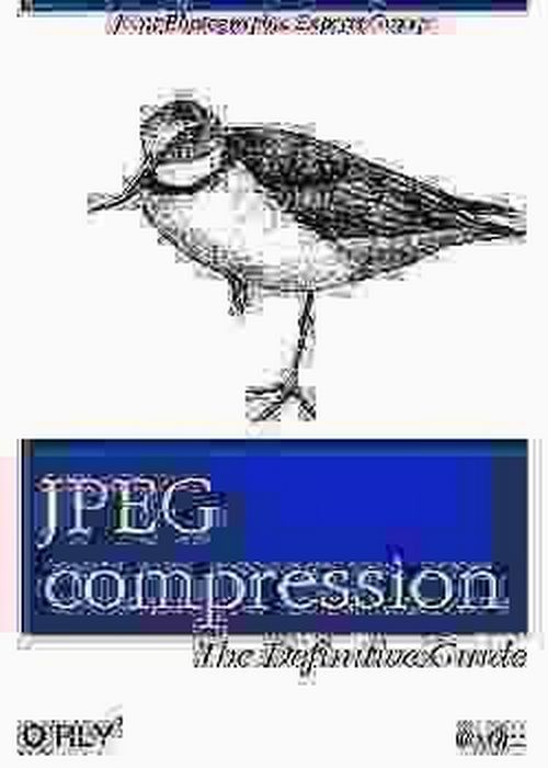 A black and white sketch of a bird, resembling a sandpiper, is shown above a book cover that reads 'JPEG compression The…